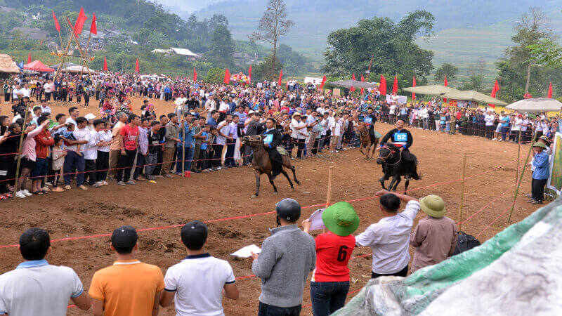 赛马节“ pu ta leng”马