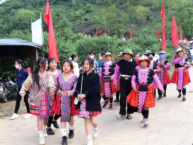 水果采摘节