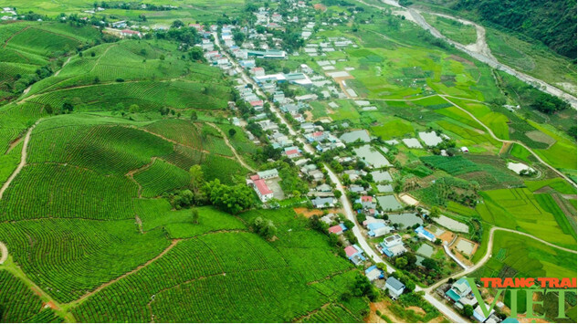 タンウエン地区のティーフェスティバル
