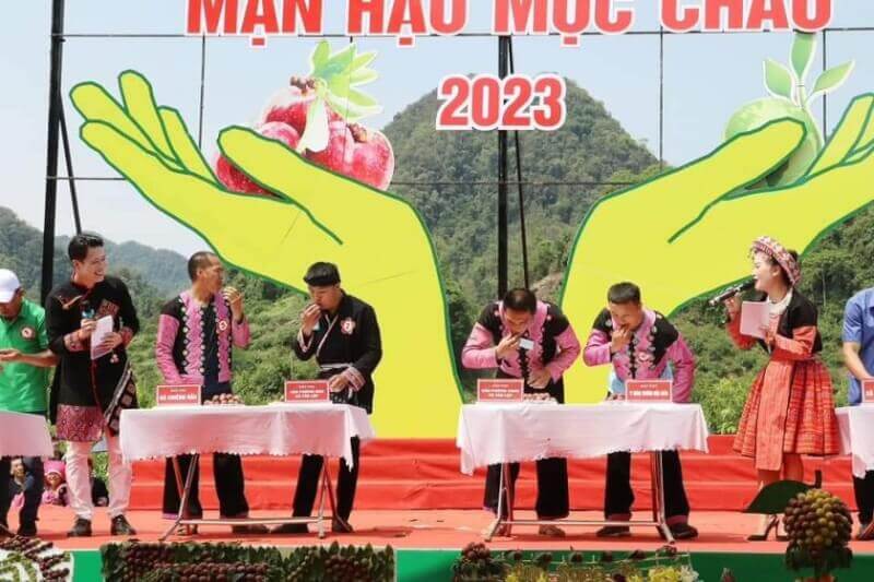 水果采摘节