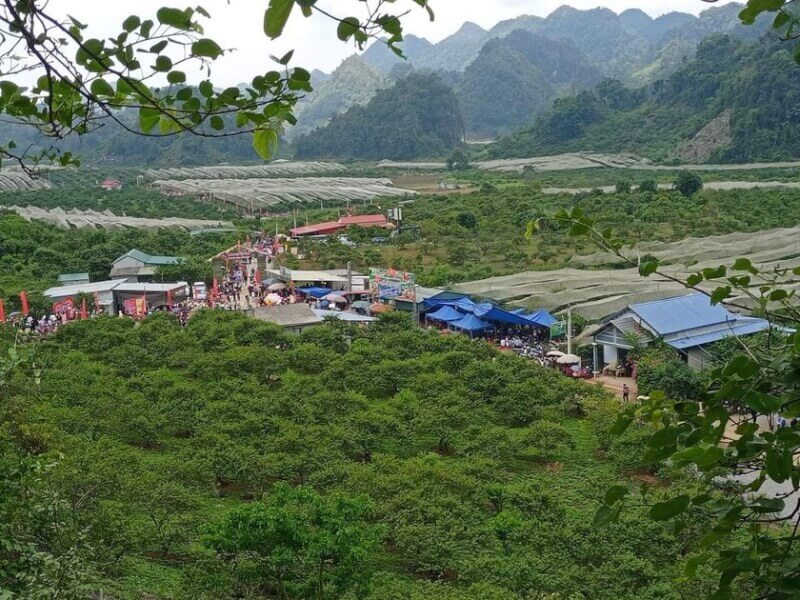 水果采摘节