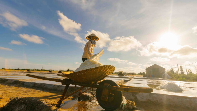 Hấp Dẫn Với Cánh Đồng Muối Bạch Long Mùa Thu Hoạch