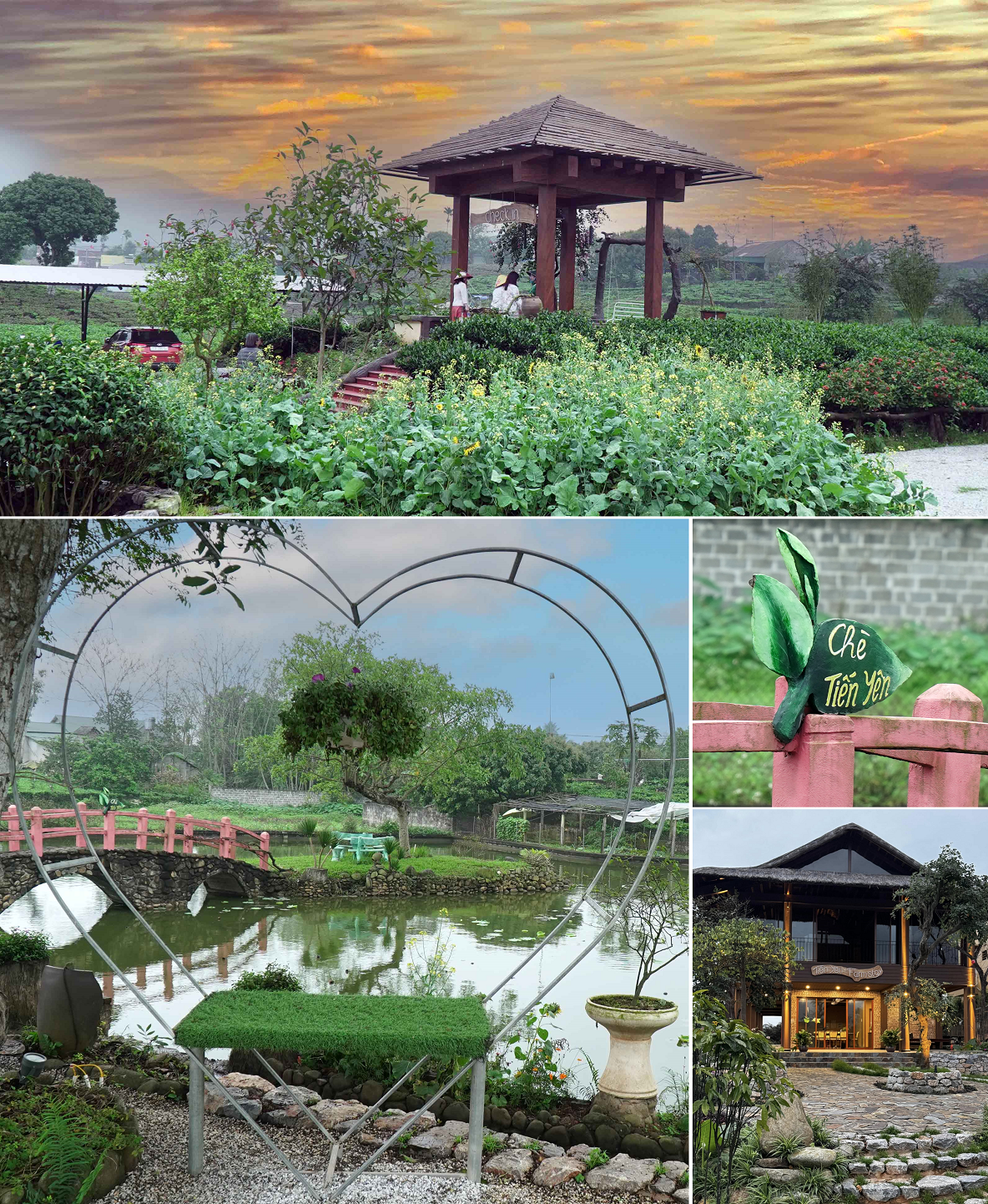 Tiến Yên Farmstay – Điểm đến của những người yêu Trà