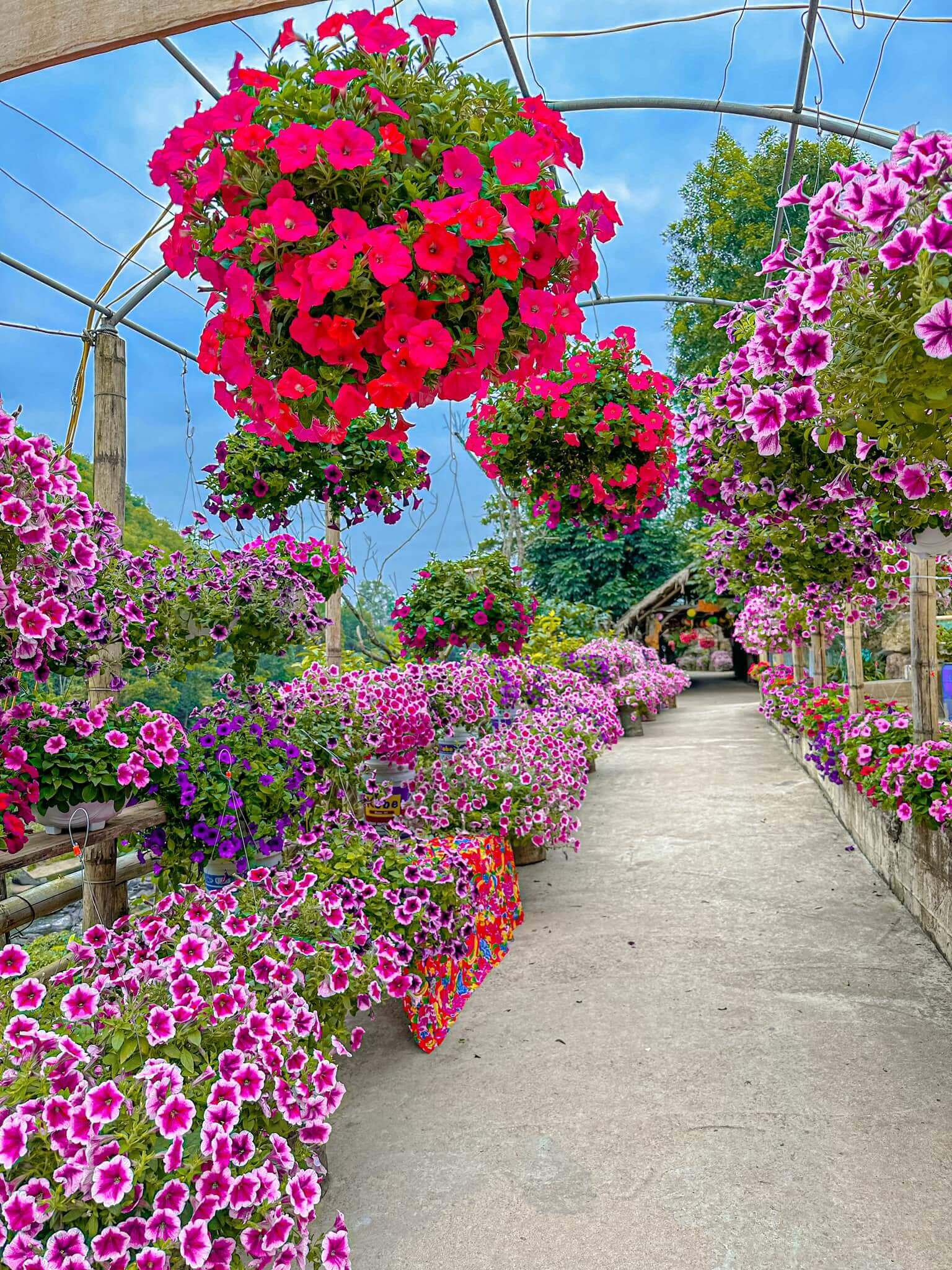 Chính vẻ đẹp tuyệt sắc của thiên nhiên mà nơi đây được ví tựa như một thiên đường hoang sơ, là nơi để du khách tìm đến vui chơi, khám phá