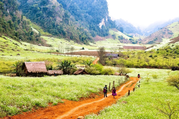 Bản Pa Phách