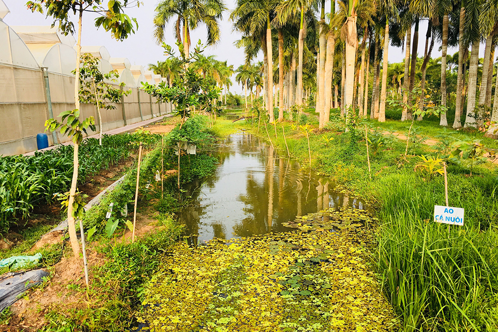 Bảo Gia Farm Camping