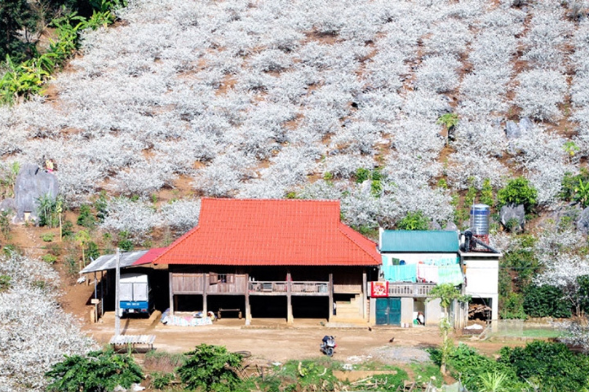 Chiềng Cọ