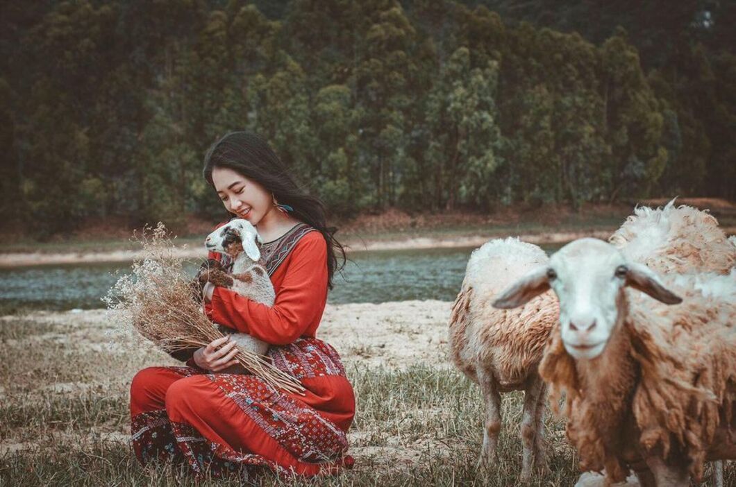 Đồng cừu Gia Hưng