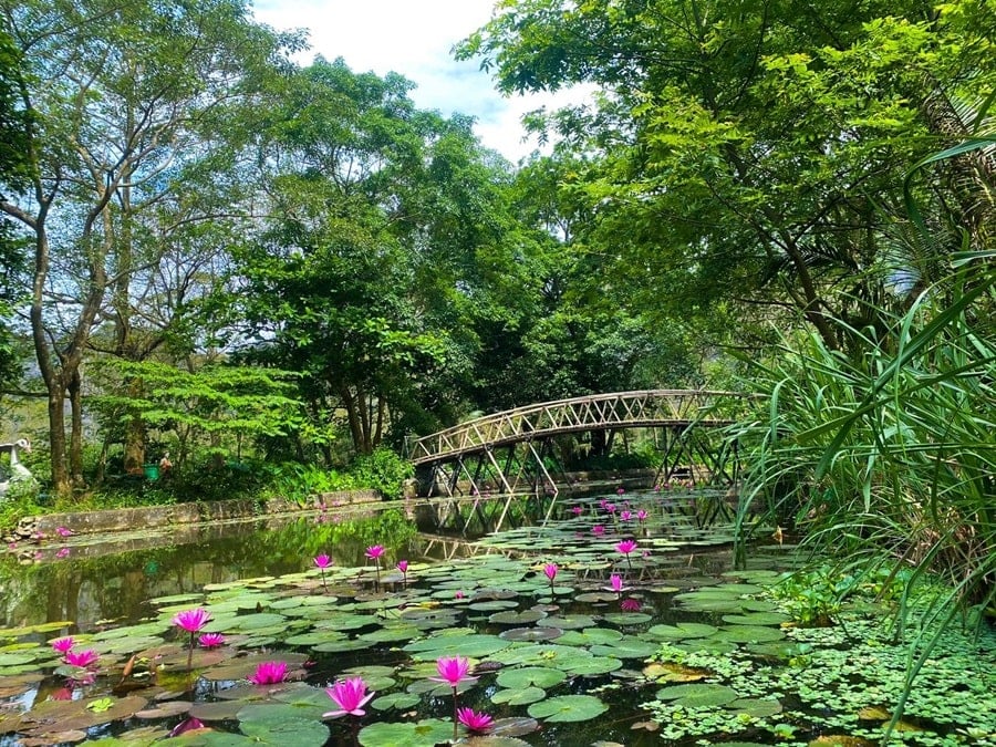 김 손 풍경 지역