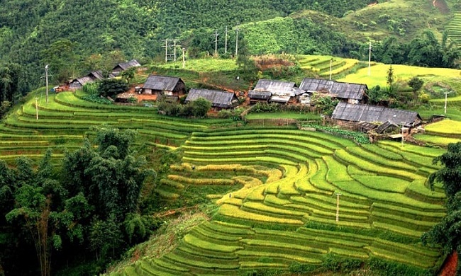 Bản Sín Chải