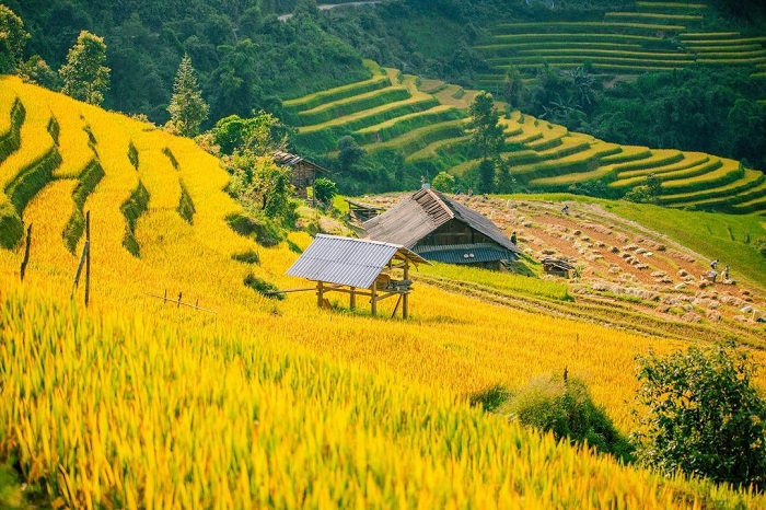 Ruộng bậc thang xã Zế Xu Phình