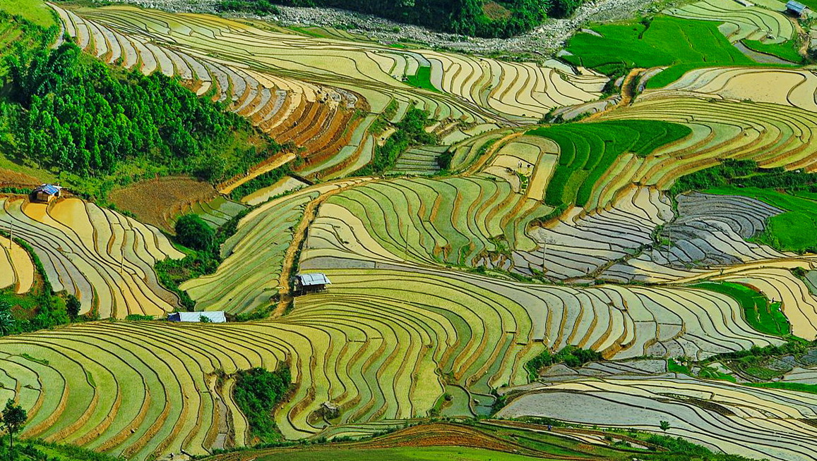 Ruộng bậc thang xã Zế Xu Phình