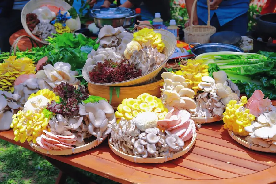 Da Lat mushroom village