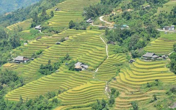 Người dân tại Hồ Thấu sinh sống dựa chủ yếu vào làm nông nghiệp, với những thửa ruộng bậc thang bao la bát ngát