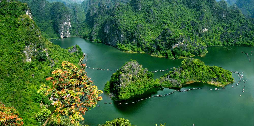 Thung Vối