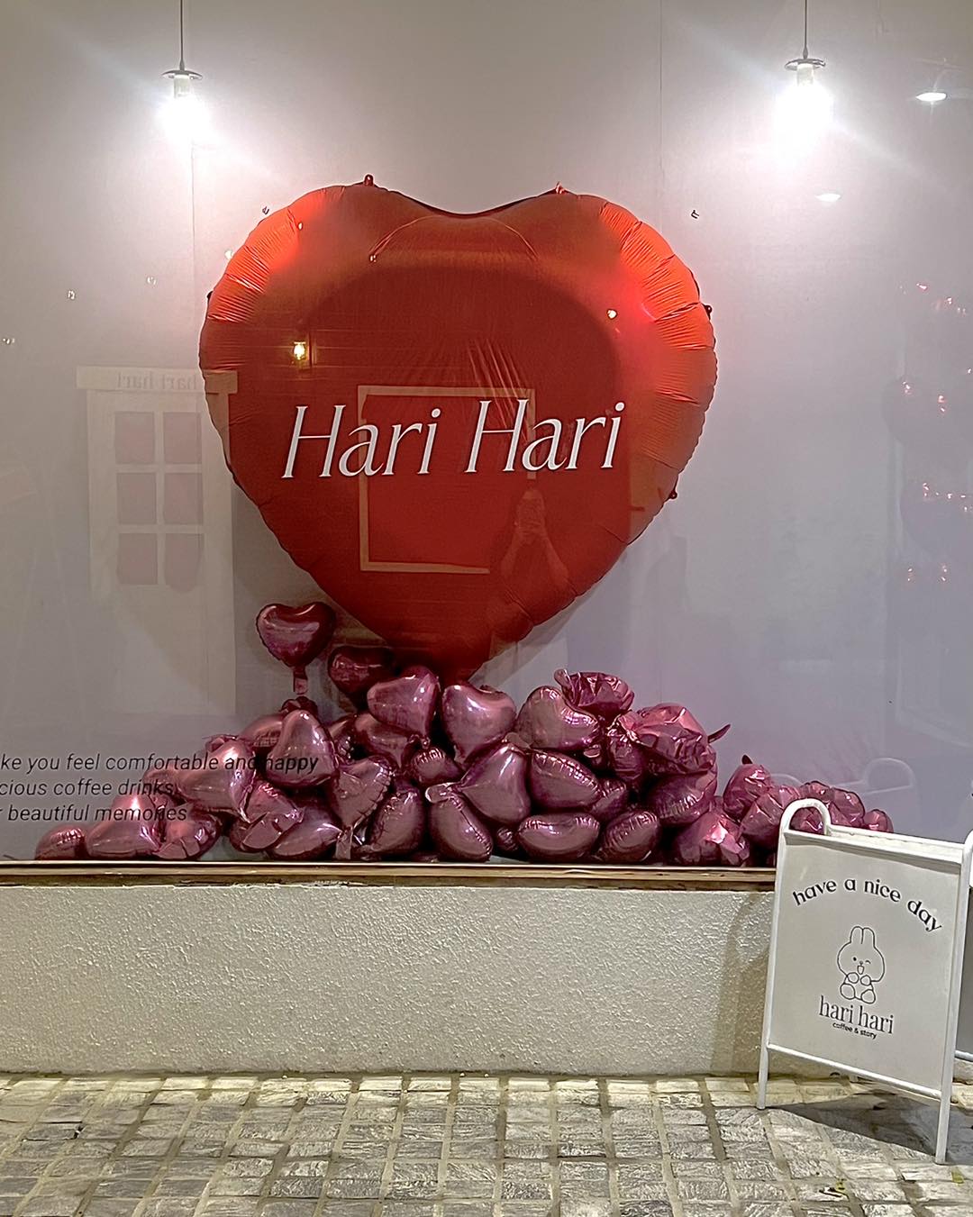 "Hari Hari - Quy Nhơn: Góc Nhỏ Hàn Quốc Giữa Lòng Thành Phố Biển"