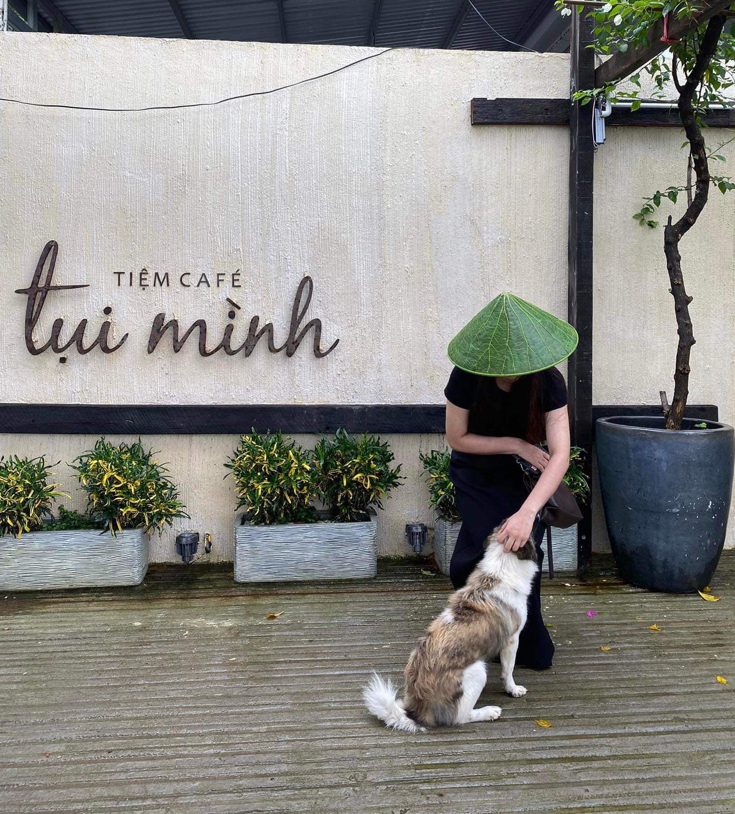Tạm Biệt Ồn Ào: Ghé Tiệm Café Tụi Mình Để Trút Hết Muộn Phiền