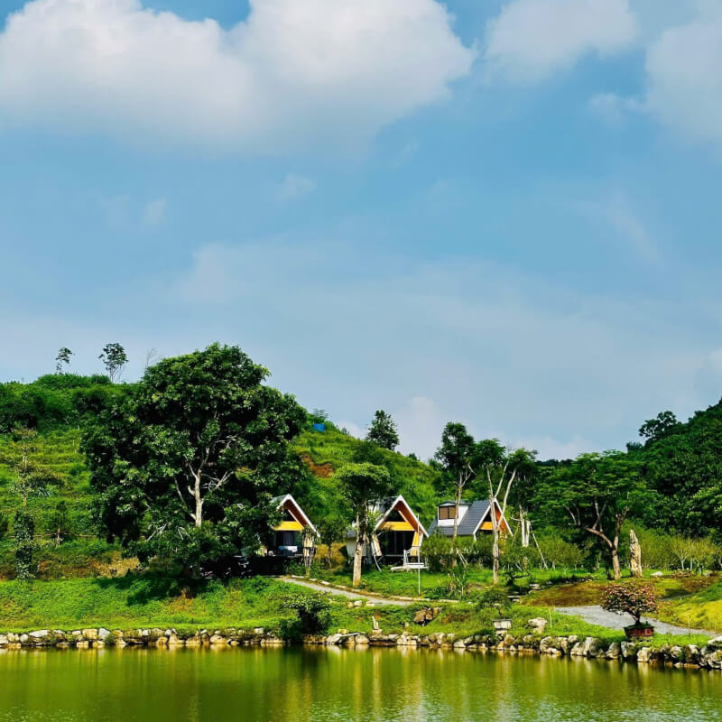 thien trang dlst区域