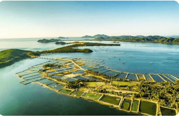 Đầm Ô Loan