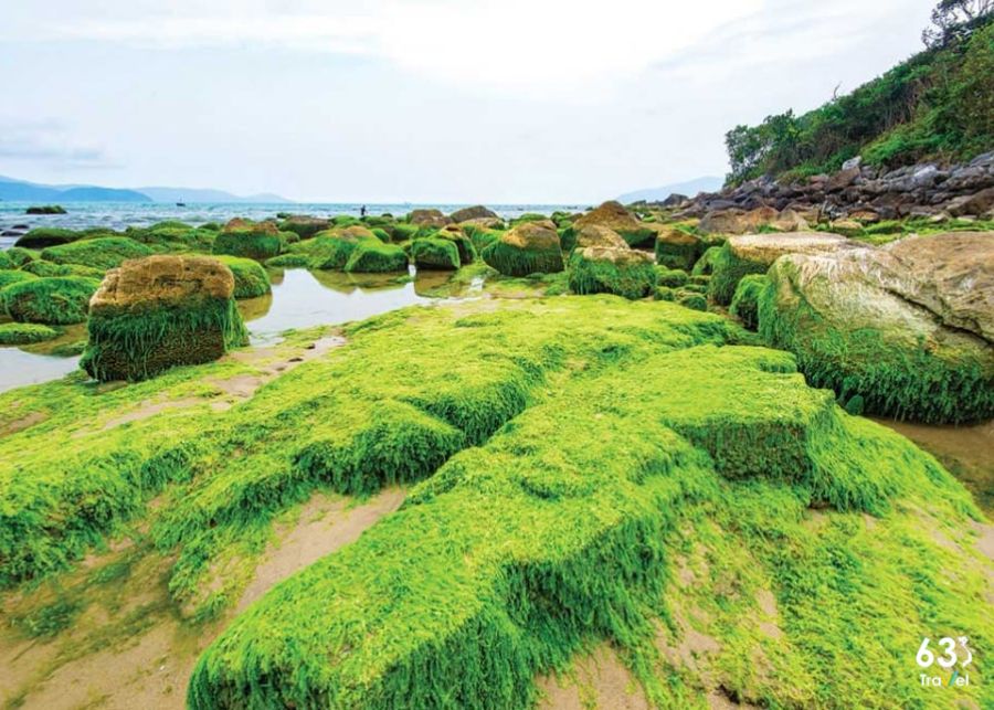  Bãi biển Nam Ô