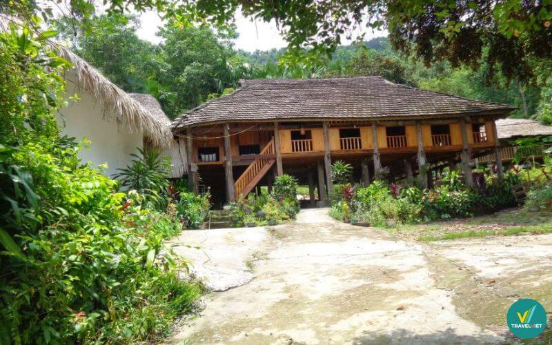 Homestay Bản Tùy