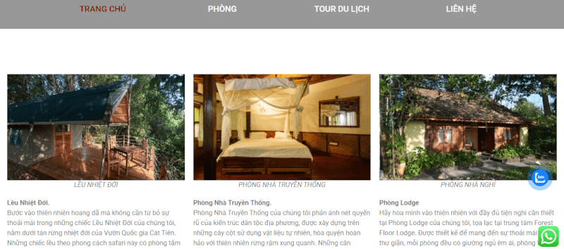 Forest Floor Lodge