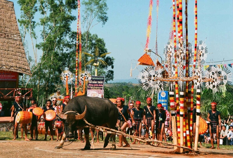 Lễ hội Đâm Trâu
