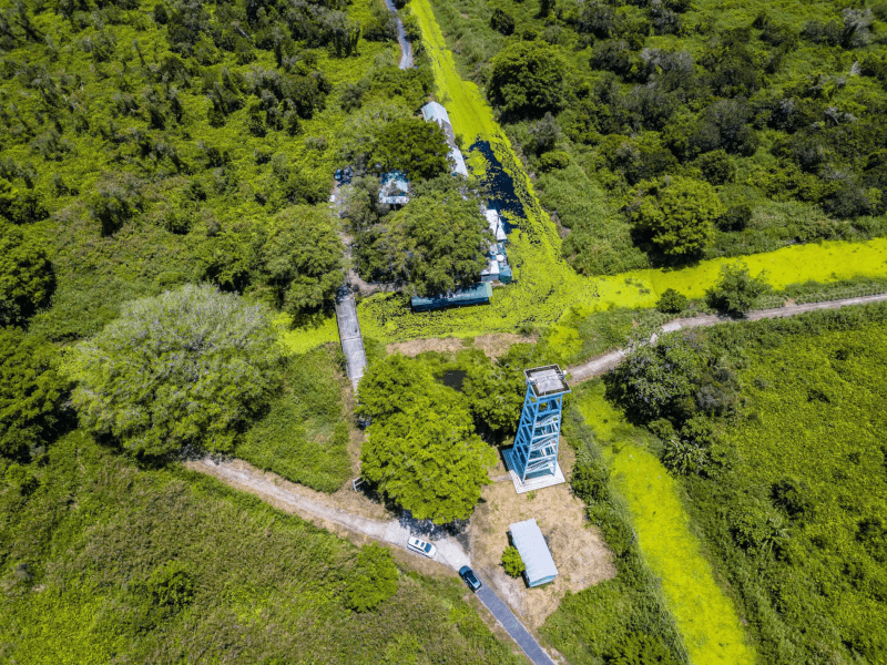  Rừng Quốc gia U Minh Hạ