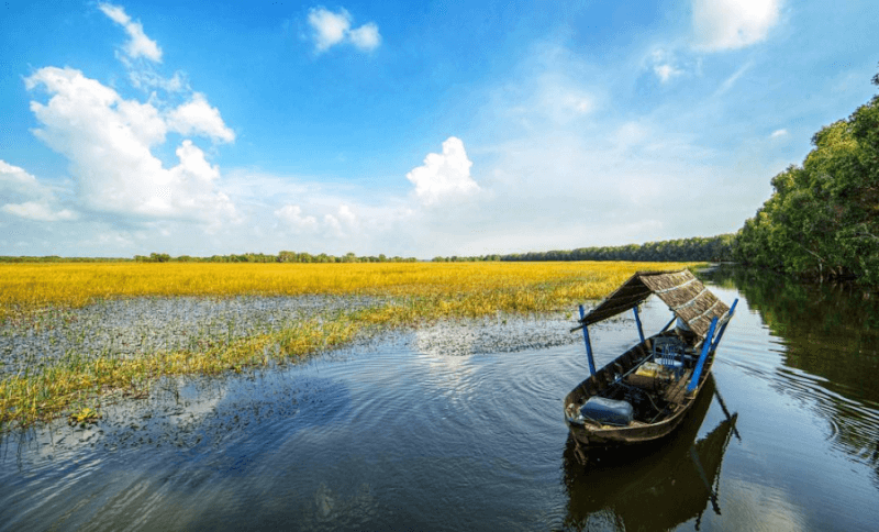 Vườn quốc gia Tràm Chim